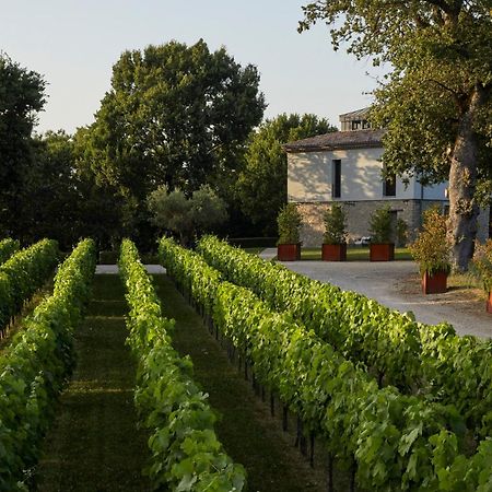 Borgo San Gregorio Villa Sorbo Serpico Bagian luar foto