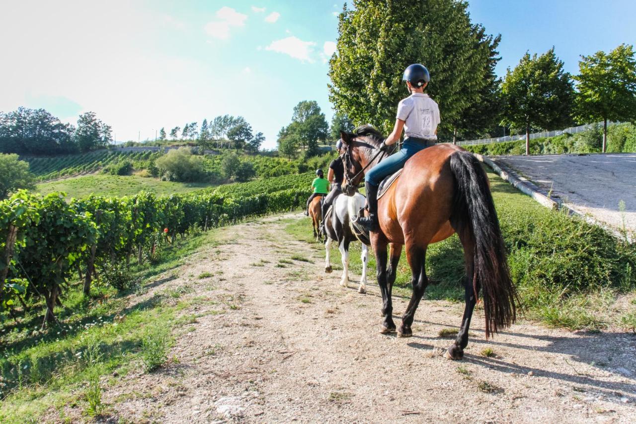 Borgo San Gregorio Villa Sorbo Serpico Bagian luar foto
