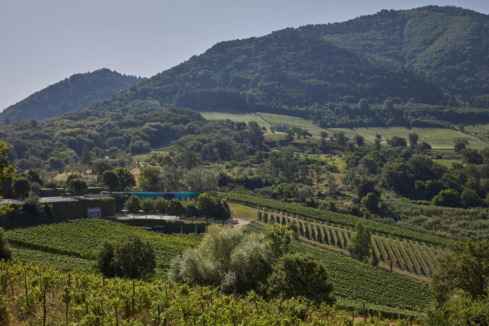 Borgo San Gregorio Villa Sorbo Serpico Bagian luar foto